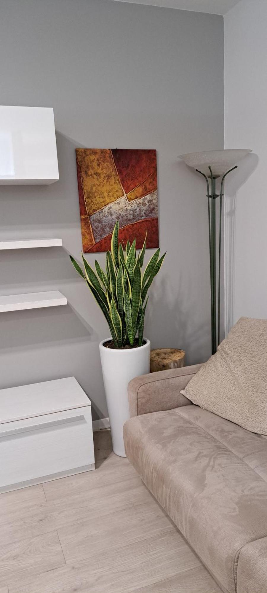 Marco Venice Apartment Εξωτερικό φωτογραφία